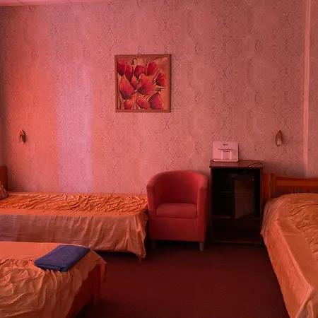 Airport Szallo Hotel 3*