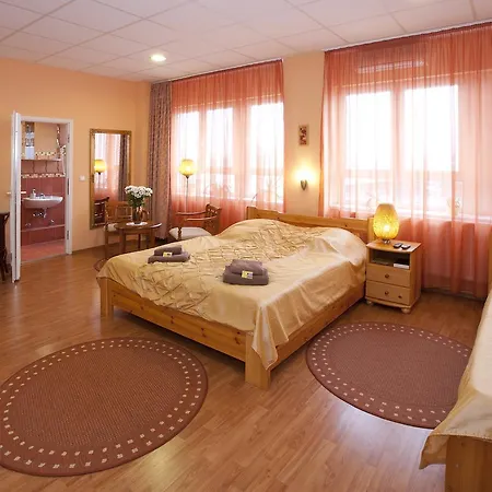 Airport Szálló Hotel 3*