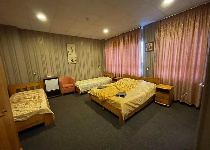 扎罗机场酒店 酒店 3*