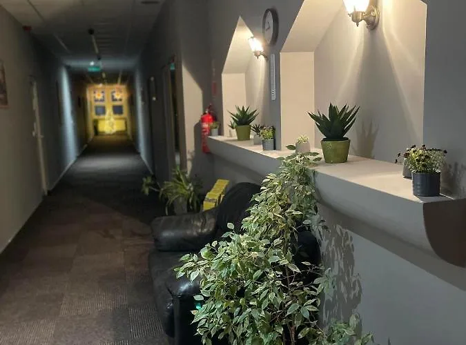 酒店 扎罗机场酒店