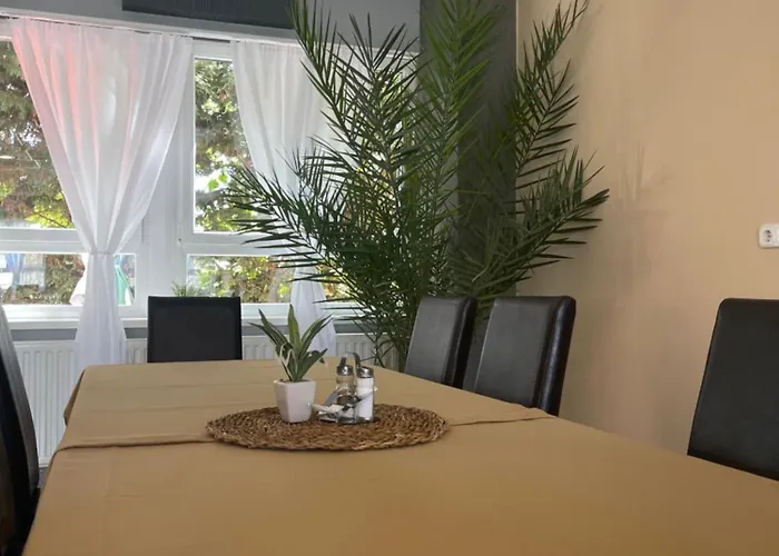 酒店 扎罗机场酒店 Tokol