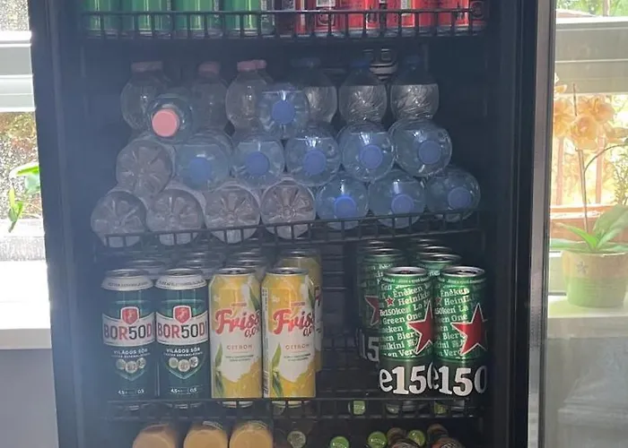 Szálloda Airport Szálló Tokol